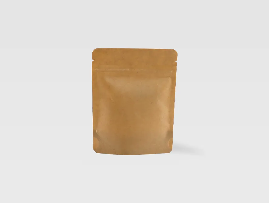 Back view of kraft paper pouch bag