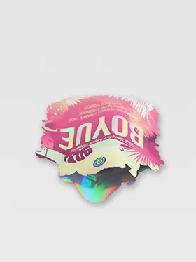 Weed mylar bag with 3d print design (2)