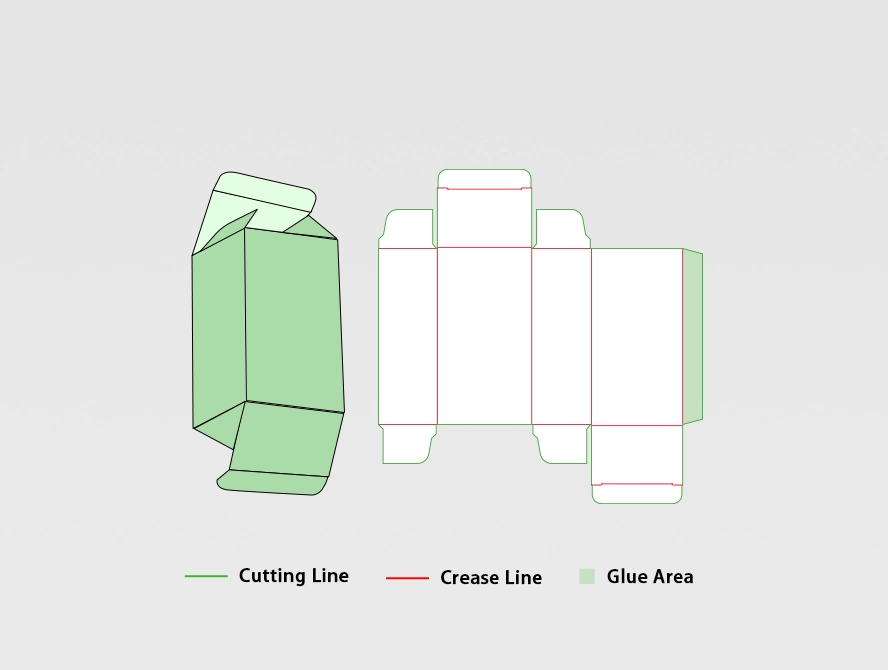 Packaging dieline layout showing flat template structure
